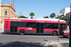 Autobus urbano Sevilla España