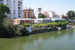 Bares a lo largo del rio Guadalquivir de Sevilla España