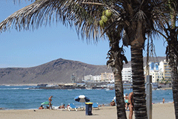 Travel Articles - The Canary Islands