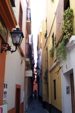 Barrio de Santa Cruz Seville Spain